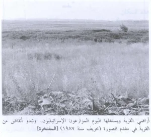 Al-Muftakhira Depopulated Village | Our Palestine