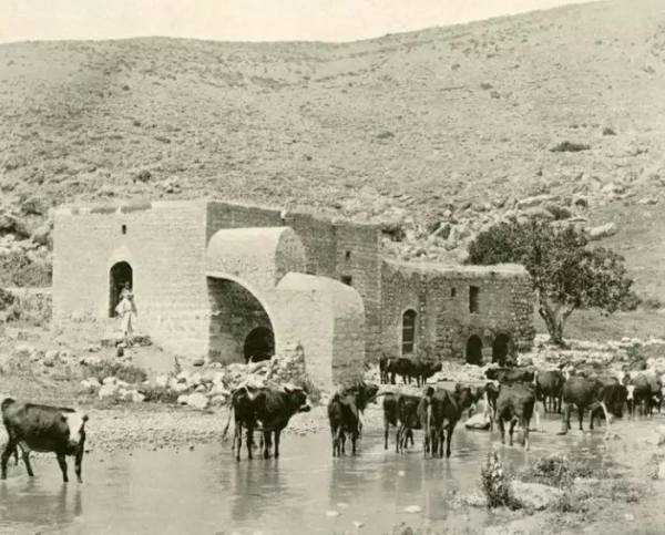 عرب الزبيد | فلسطيننا