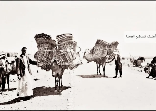 عرب الزبيد | فلسطيننا