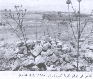 Kirad al-Ghannama Depopulated Village | Our Palestine