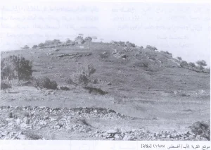 Dallata Depopulated Village | Our Palestine