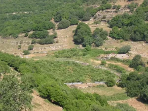 Ghabbatiyya | Our Palestine