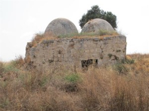 الطيرة ( طيرة دندن ) | فلسطيننا