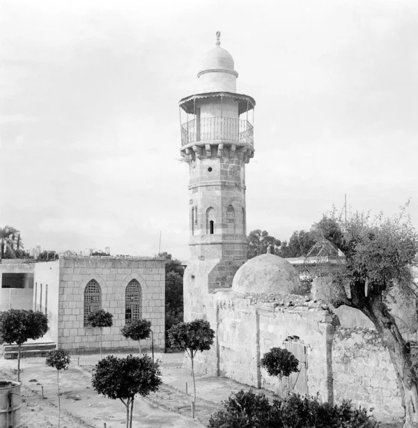 ابو الفضل ( عرب السترية ) | فلسطيننا