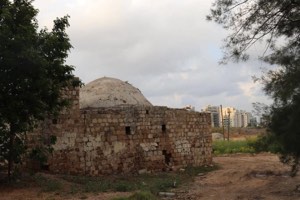 زرنوقة | فلسطيننا