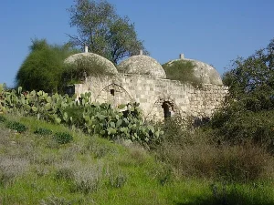 قرية بشيت المهجرة | فلسطيننا