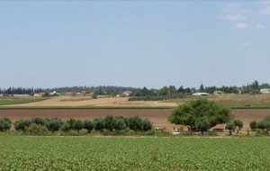 سجد | فلسطيننا