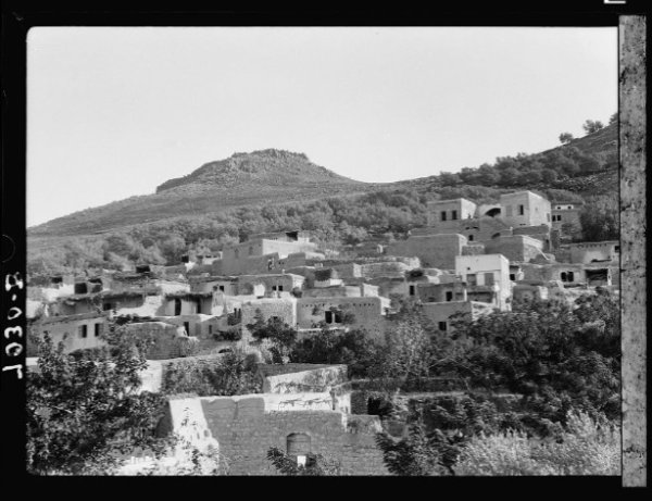 قرية حطين المهجرة | فلسطيننا