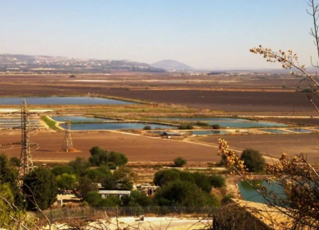 ابو زريق | فلسطيننا