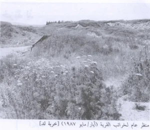 Khirbet Lid (al-'Awwadin) | Our Palestine