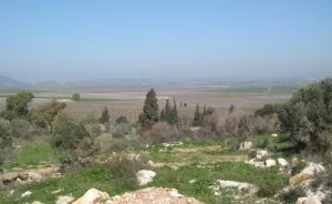 Al-Naghnaghiyya Depopulated Village | Our Palestine