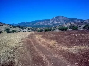 خربة الشونة (الشونة) | فلسطيننا