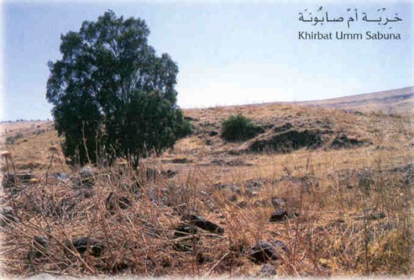 قرية خربة ام صابونه ( عرب صقر ) المهجرة | فلسطيننا