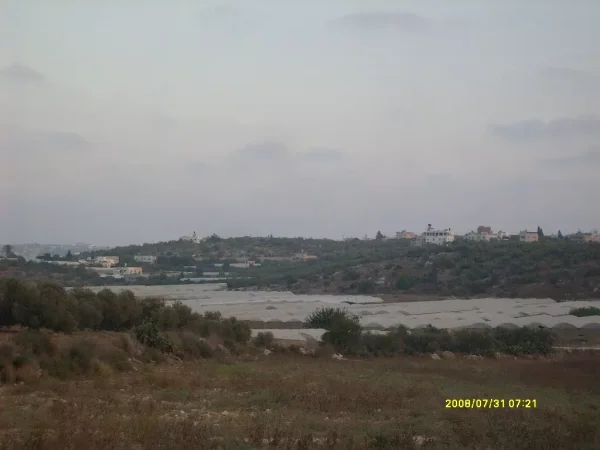قرية رمل زيتا او خربة قزازة المهجرة | فلسطيننا