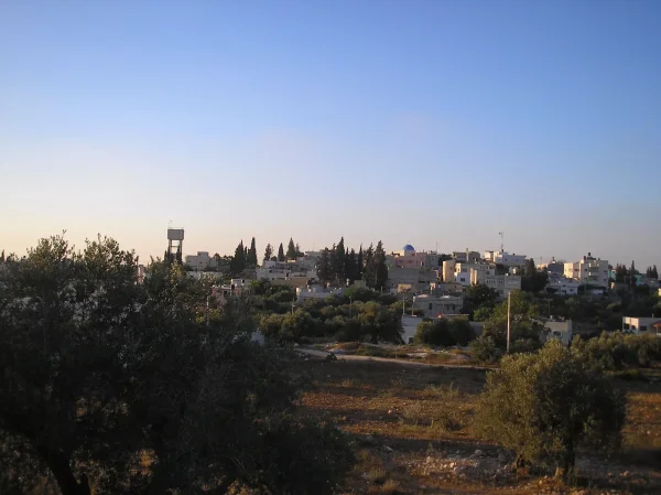 غابة كفر صور | فلسطيننا