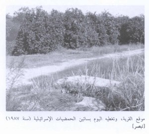 Tabsur (Khirbet 'Azzun) | Our Palestine