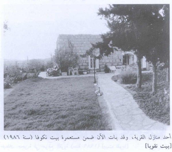 قرية بيت نقوبا / نقوبة /عين نقوبا المهجرة | فلسطيننا
