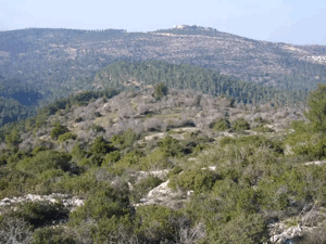 خربة العمور / دير عمرو | فلسطيننا