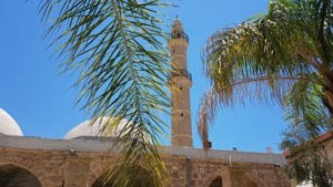 مسجد المحمودية | فلسطيننا