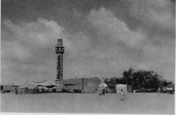 مسجد ومقام النبي روبين عام 1941