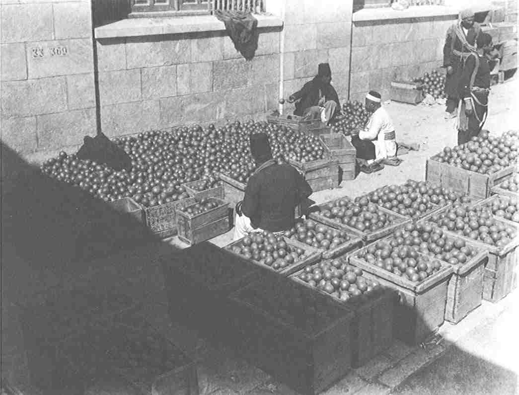 فرز برتقال يافا وتعبئته في أوائل العشرينيات