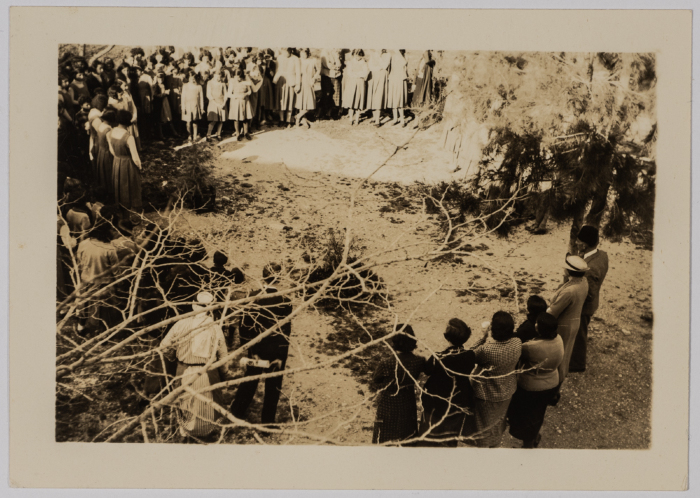 Students of the Friends Girls School in Ramallah planting trees in 1936