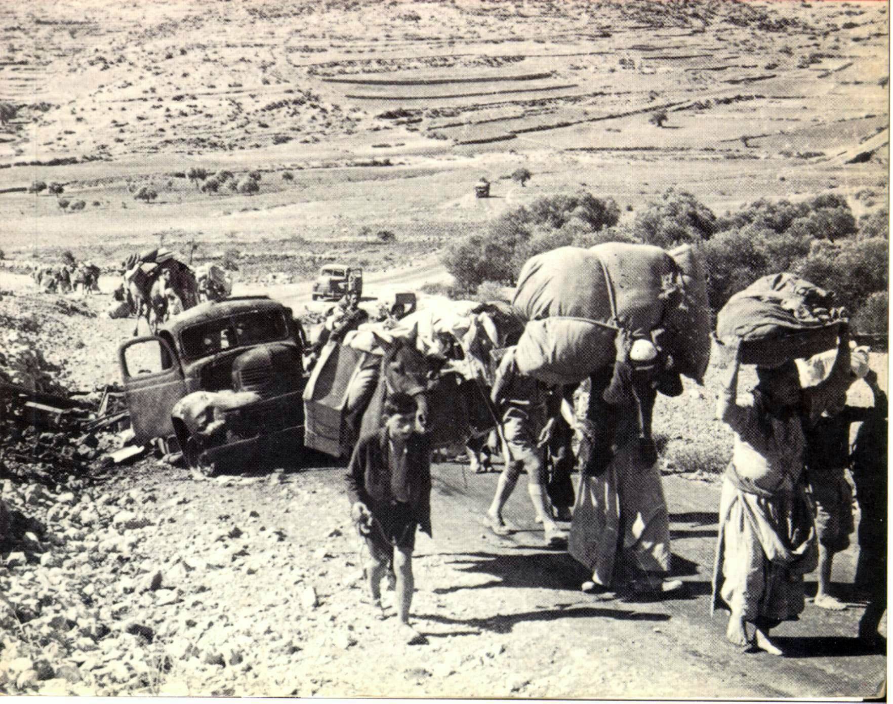 لاجئون فلسطينيون عام 1948، تصوير فريد تشاسنيك